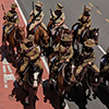 Mounted horses riding through Adelaide Street, Brisbane.