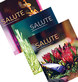 Salute - issues 1, 2, and 3.