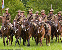 War horses of south-east Queensland