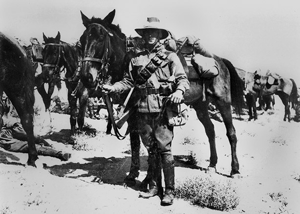 Member of the Australian 2nd Light Horse on active duty in the Middle East