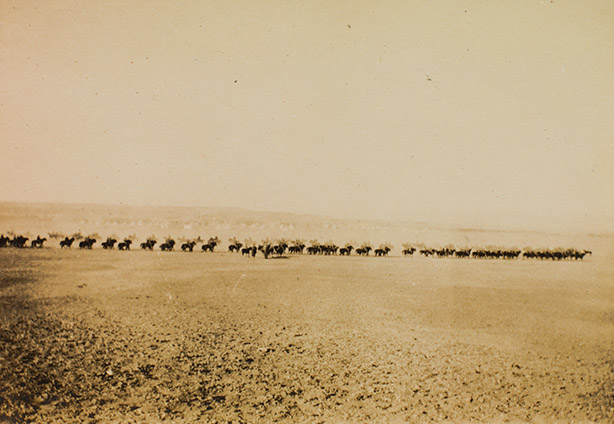 Line of mounted Light Horse troops on manoeuvres Heliopolis Cairo Egypt 1915